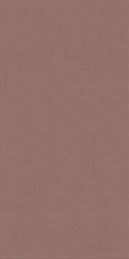 Wide&Style Mini Paprika Ret 60x120 - фото 1