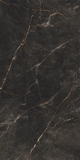 Shinestone Black Pol 239.8x119.8 - фото 1