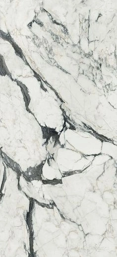 Les Bijoux de Rex Calacatta Altissimo B Glossy 60x120 - фото 1