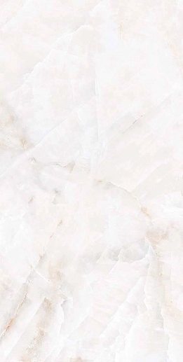 Birch Onyx 60x120 - фото 1