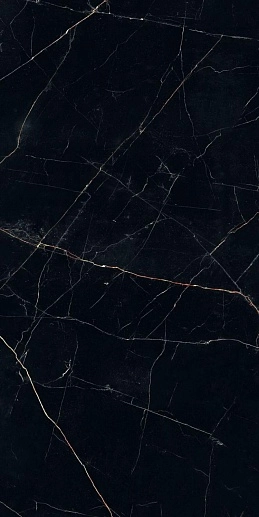 Nero Ardi Coverlam Pulido 60x120 - фото 1