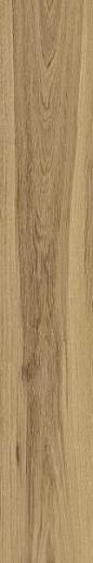 Rive Acqua Riva Ret 20x120 - фото 1