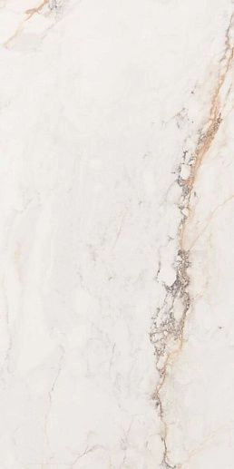 Marbles/Cr. Pisa Gold (Compacglass) 60x120 - фото 1