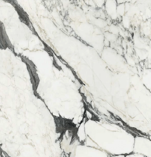 Les Bijoux de Rex Calacatta Altissimo B Glossy 120x120 - фото 1