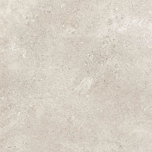Coquille Champagne - Ox80 120x120 - фото 1