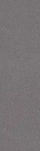 Saga+ Grey 80x300 - фото 1