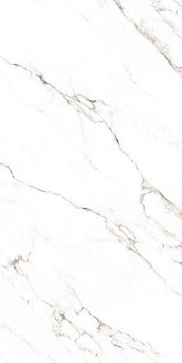 120x278 Statuario Castork 120x278 - фото 1