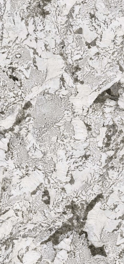 Pulm Blossom Polished 160x320 - фото 1