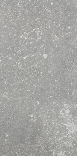 Di Pietra Ardenne Grigio 20x40 - фото 1
