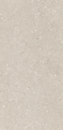 Shellstone Beige 60x120 - фото 1