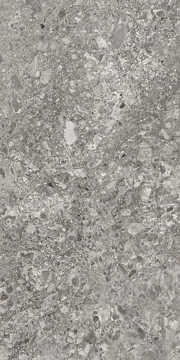 Lunar Grey 60x120 - фото 1