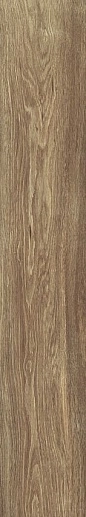 Nobile Roble Rect 20x120 - фото 1