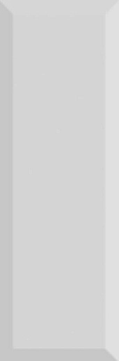Monocolor Biselado Brillo Gris 10x30 - фото 1
