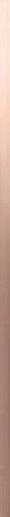 4D Profile Gold Rose 2x80 - фото 1