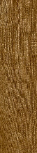 Oxford Cognac 29.4x120 - фото 1