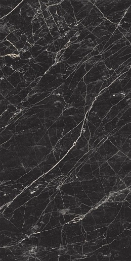 Black Arkadia 60x120 - фото 1