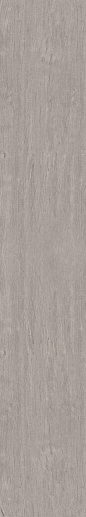 Soft Wood Grey SF03 Рект. 19.4x120 - фото 1