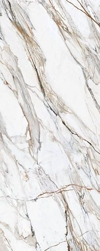 Calacatta Paonazzo Polished 120x300 - фото 1