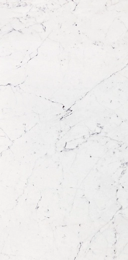 Bianco Pul. 58.6x118.7 - фото 1