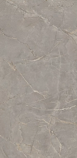 Bernini BR03 Grey - Br03 60x120 - фото 1
