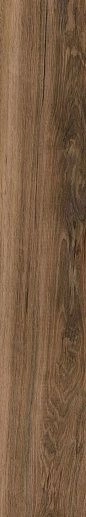 Deka Cream - Dk02 19.4x120 - фото 1