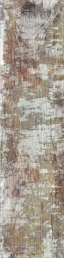 Modern wood Сolor 15.5x62 - фото 1