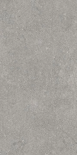 Newcon Серебристо-серый Матовый 60x120 - фото 1