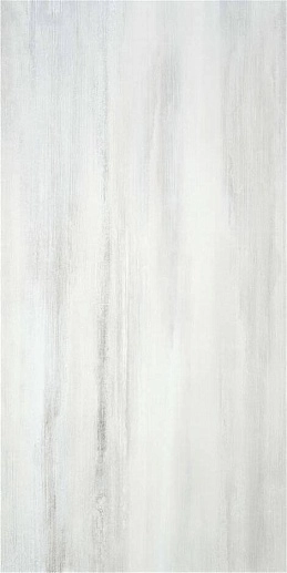 Evolve M.C. pearl mt rect. 60x120 - фото 1