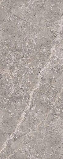 Elegant Grey Bookmatch Brillo 59.6x150 - фото 1