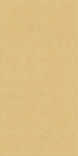 Wide&Style Mini Ginger Ret 60x120 - фото 1