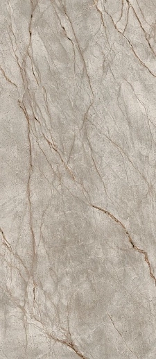 Empire Silver Root 120x278 - фото 1