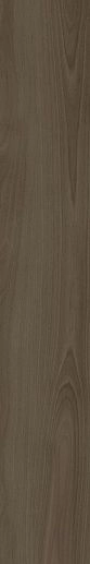 Byron Teka Natural 20x120 - фото 1