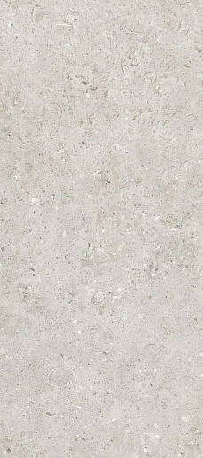 Bera&Beren Light Grey Natural 120x270 - фото 1