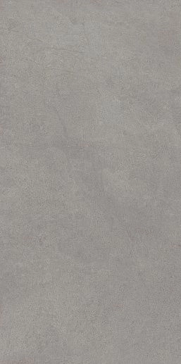 Starck Grey 20.1x40.5 - фото 1