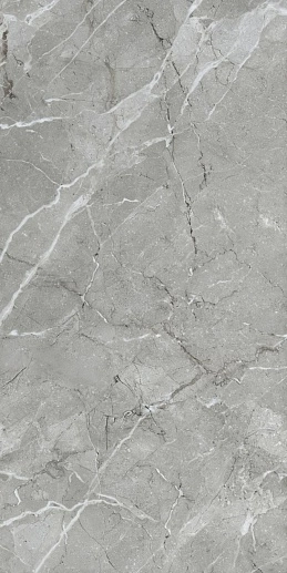 Silkmarble Бреча Серый Матовый 60x120 - фото 1