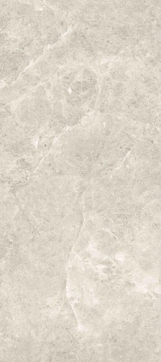 Platinum Leica Polished 120x270 - фото 1