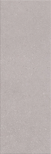 Odense Grey 24.2x70 - фото 1
