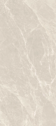 Van Gogh Grey Polished 120x270 - фото 1