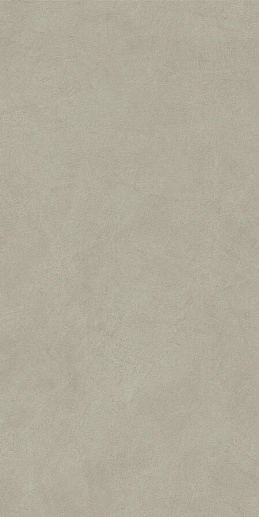 Boost Natural Pro Dove Matte 60x120 - фото 1