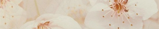 Сакура Коричневый 01 7.5x40 - фото 1
