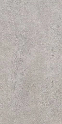 Silkdust Light Grys Gres 59.8x119.8 - фото 1