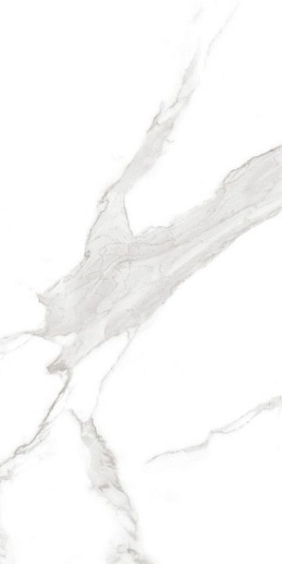 Splendida Statuario Irish Grey Polished 60x120 - фото 1