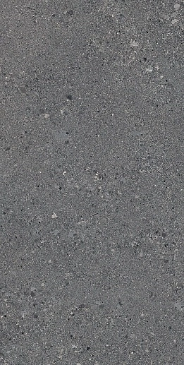 Grain Stone Rough Grain Dark Nat.60x120 - фото 1
