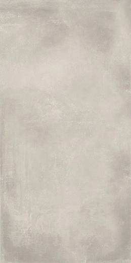 Basic Light Grey 60x120 - фото 1