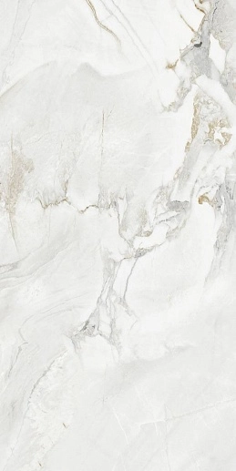 Diona 60x120 - фото 1