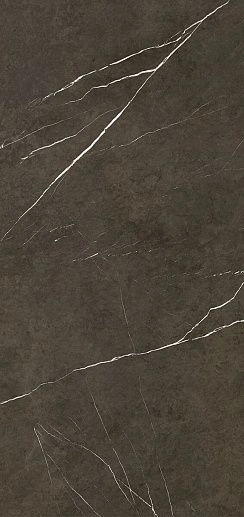 Pietra Grey Polished G-3459 119.3x260 - фото 1