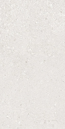 Grain Stone Rough Grain White Tecnica R11 30x60 - фото 1