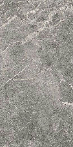 Marble Trend Silver Rever 60x120 - фото 1
