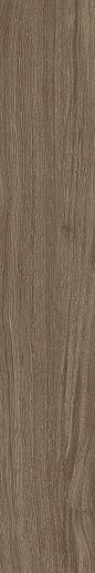 Bio Select Oak Cloves Rtt 20x120 - фото 1
