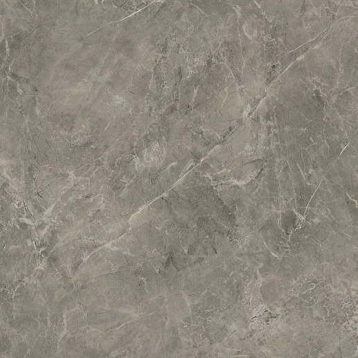 Rapid Grys 60x60 - фото 1